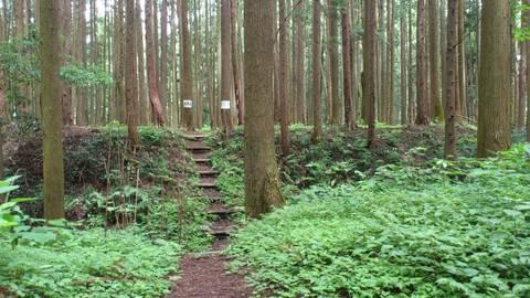 烏山城