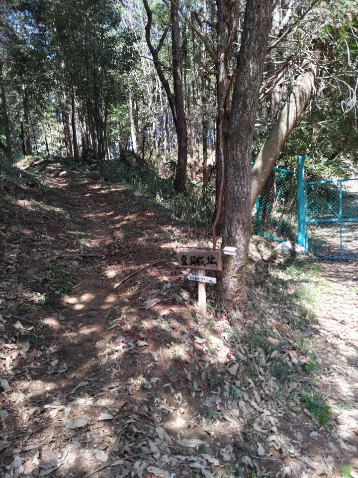 堂洞城