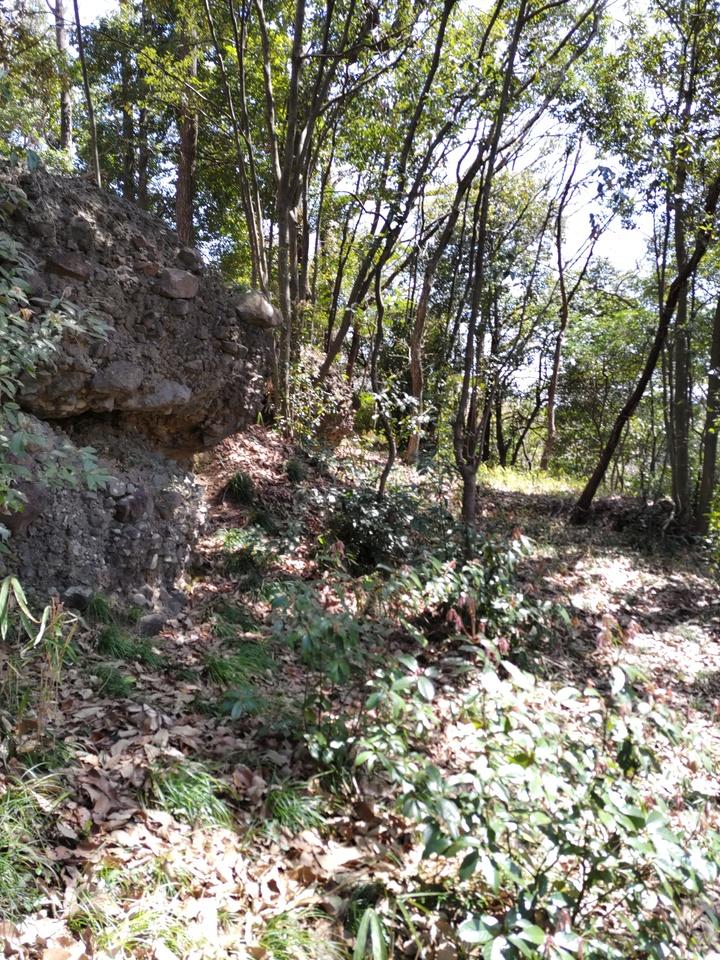 堂洞城