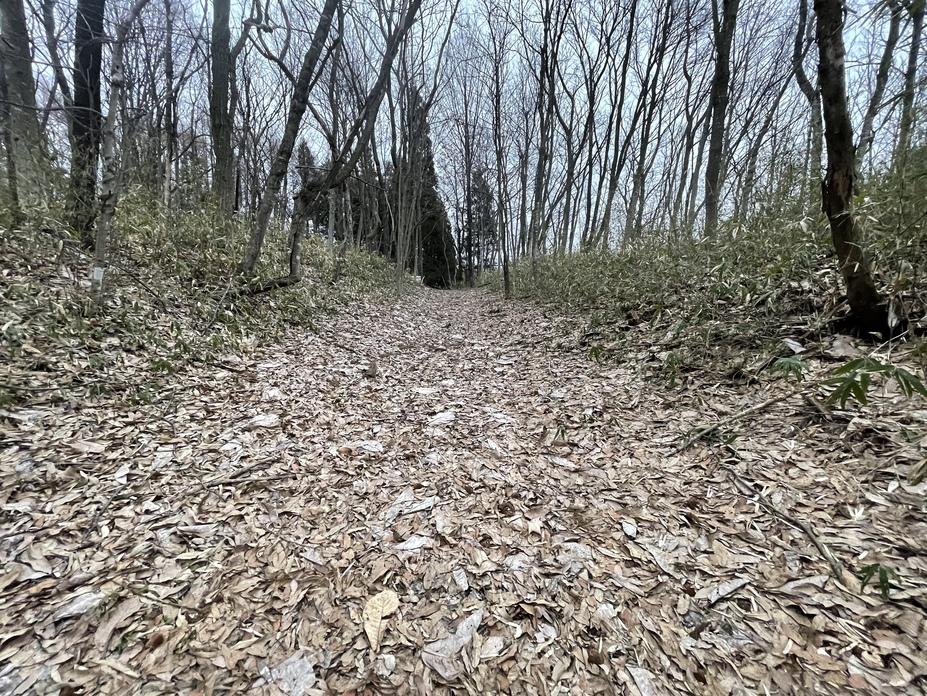 一方井城