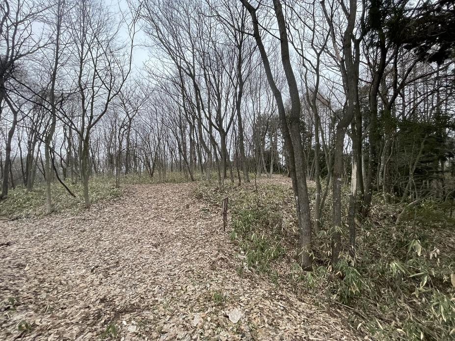 一方井城