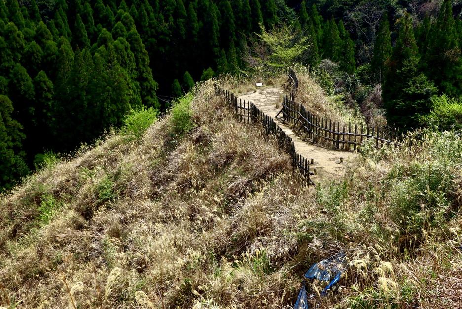 堅志田城