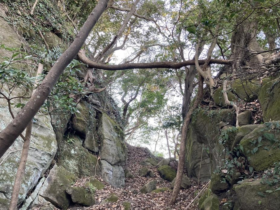 造海城