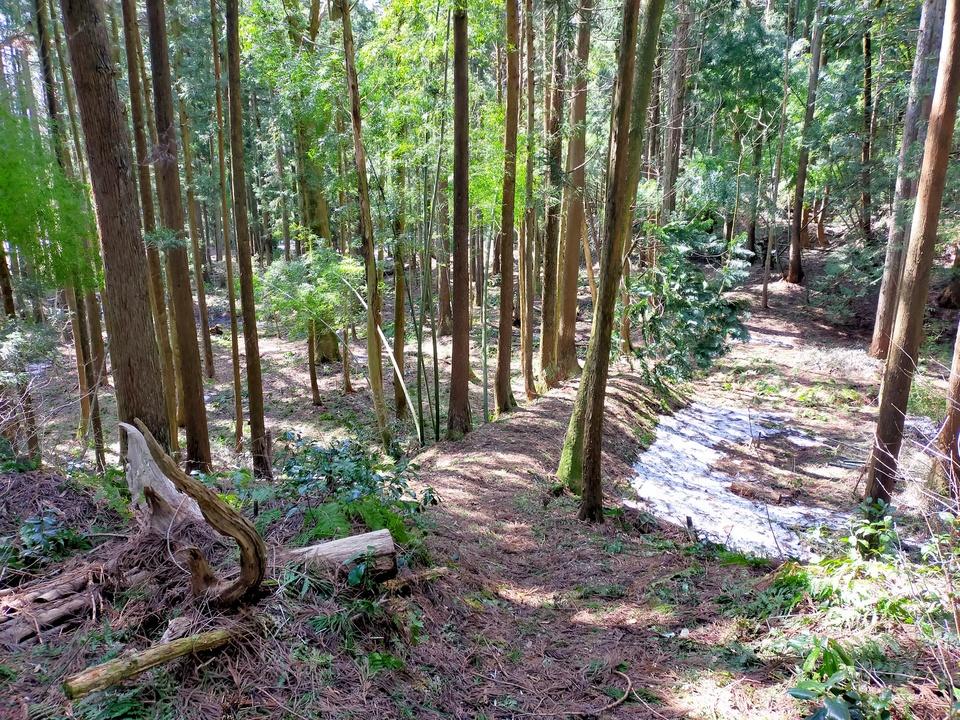 猿沢城
