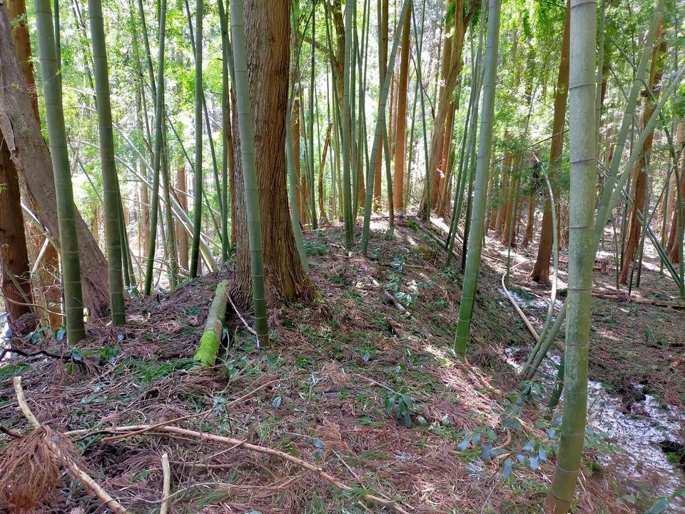 猿沢城