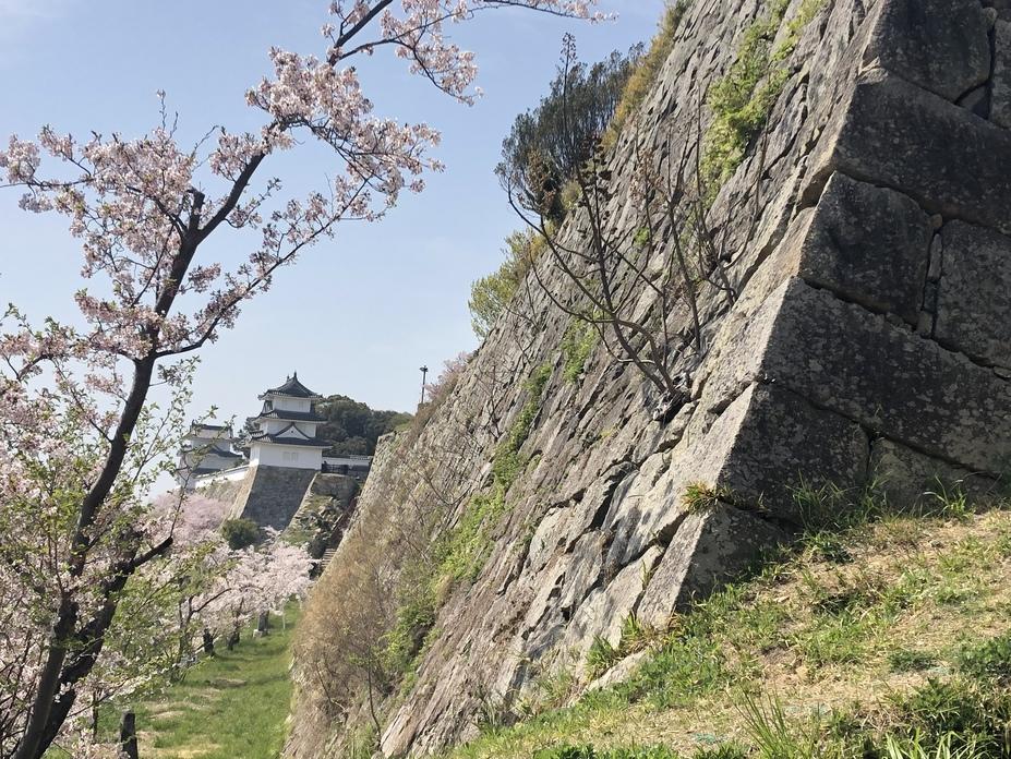 明石城