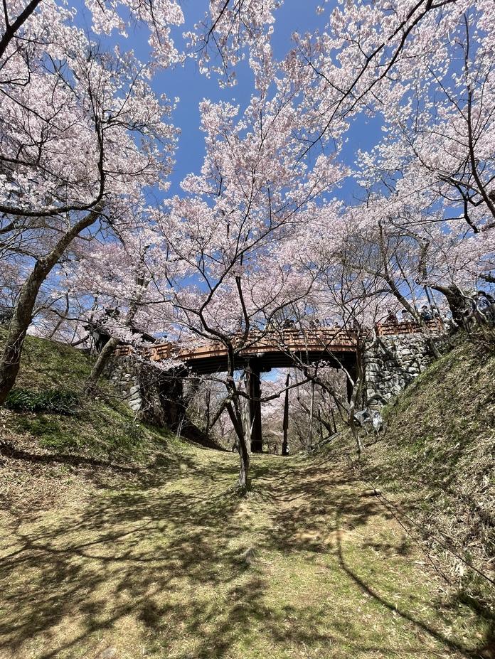 高遠城