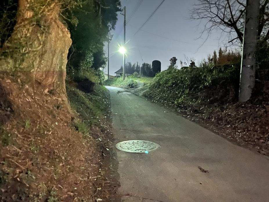 見川城