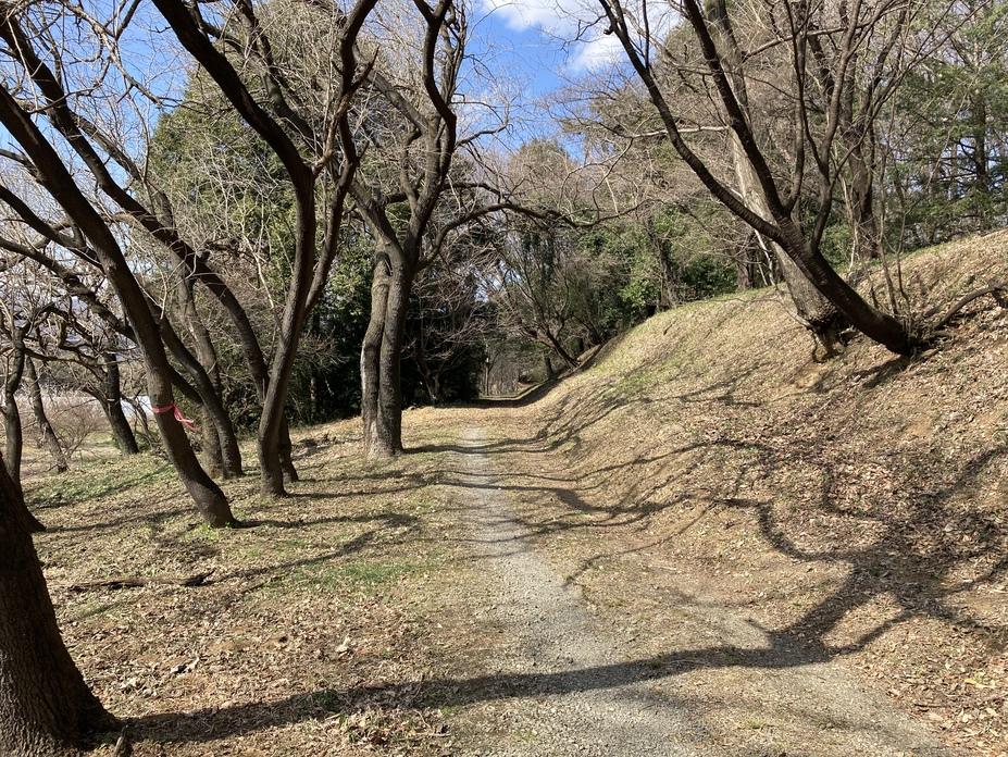 山上城