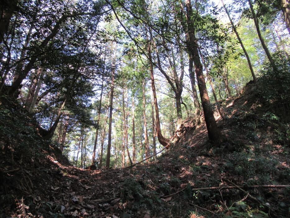鷹留城
