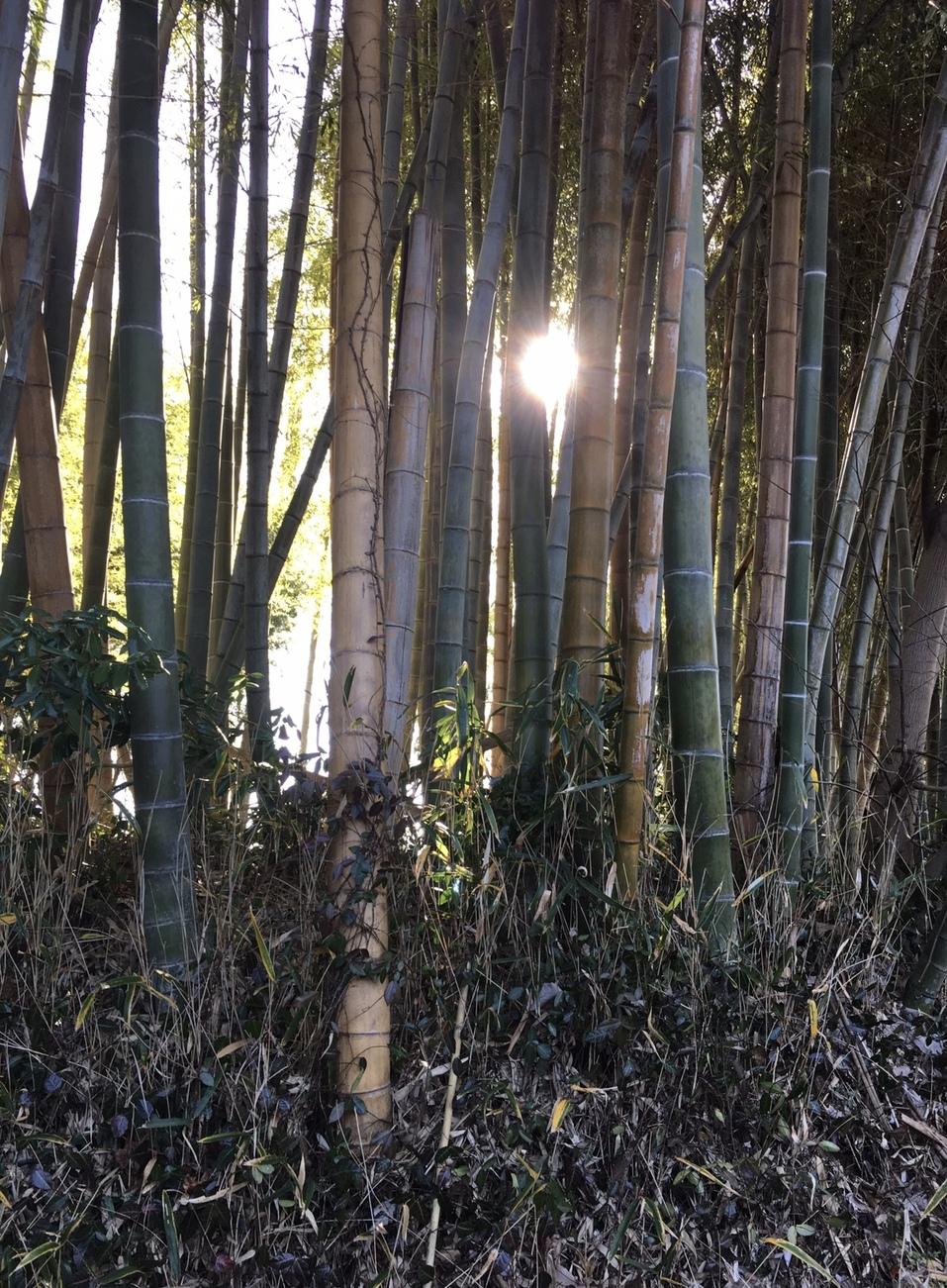 岩野嶽道祖城
