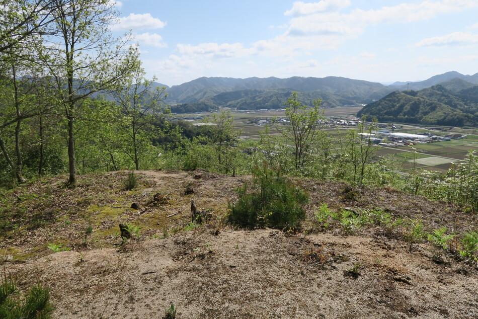 山名氏城館