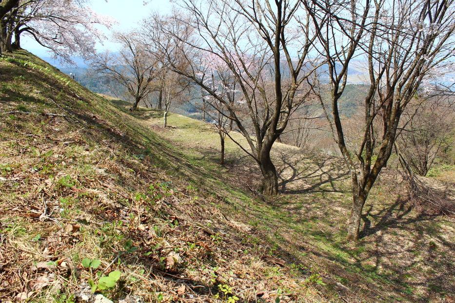 羽衣石城