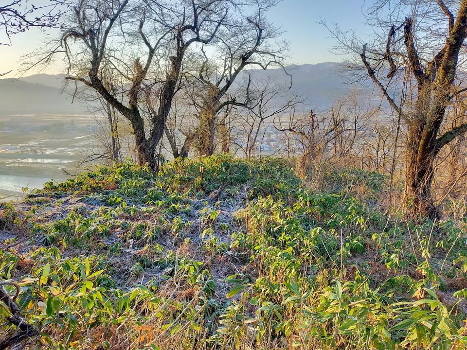 小野城