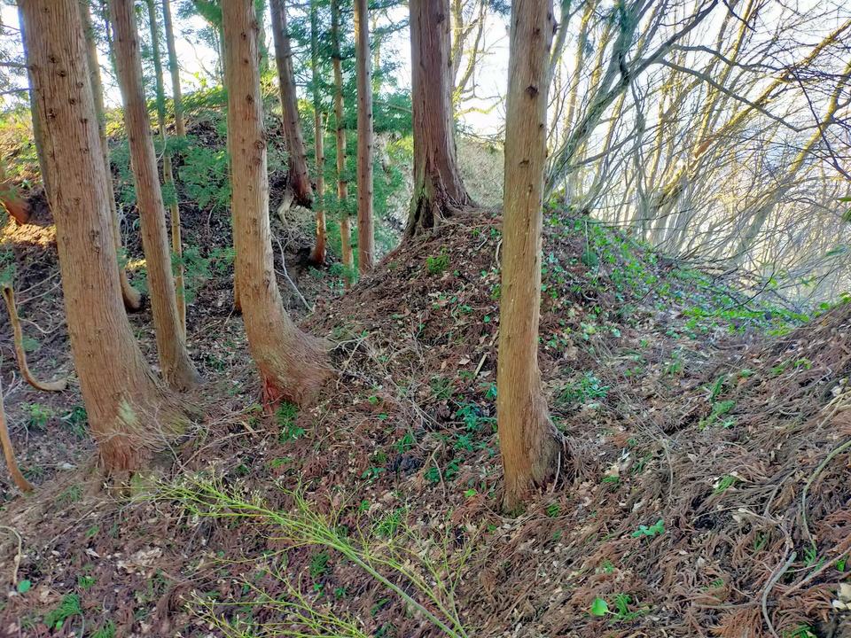 小野城