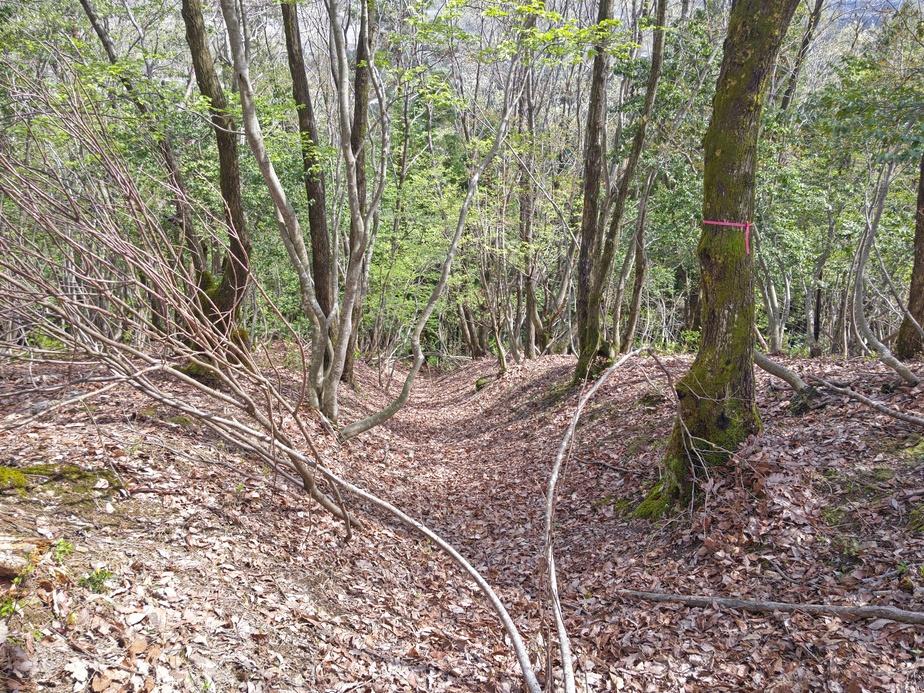 田屋城