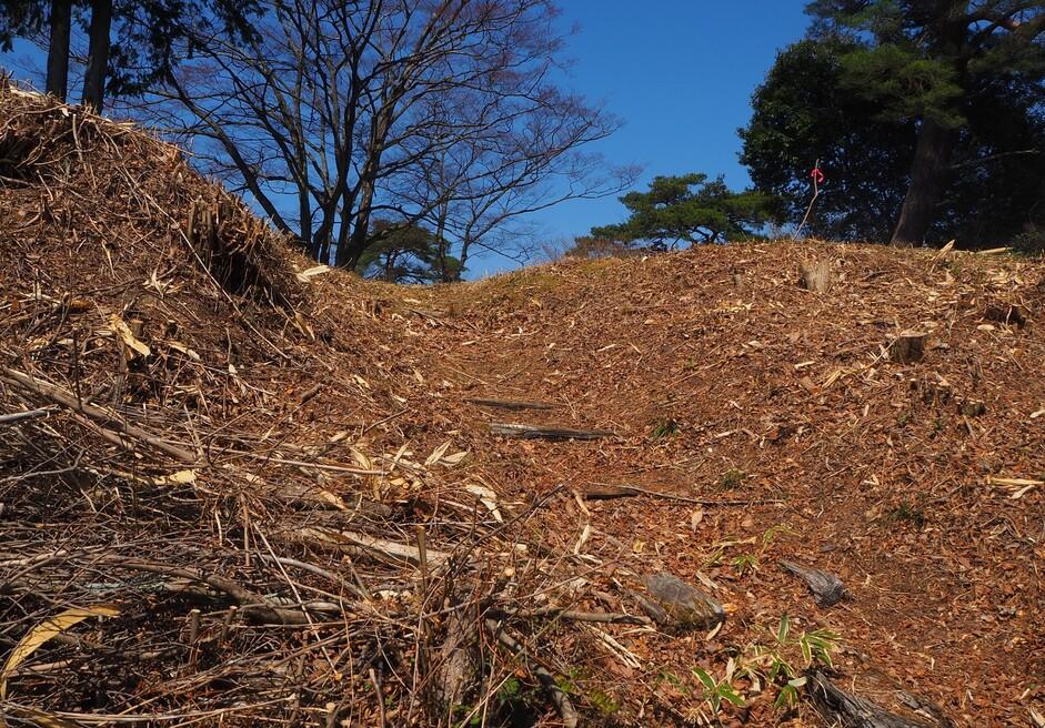 妻籠城