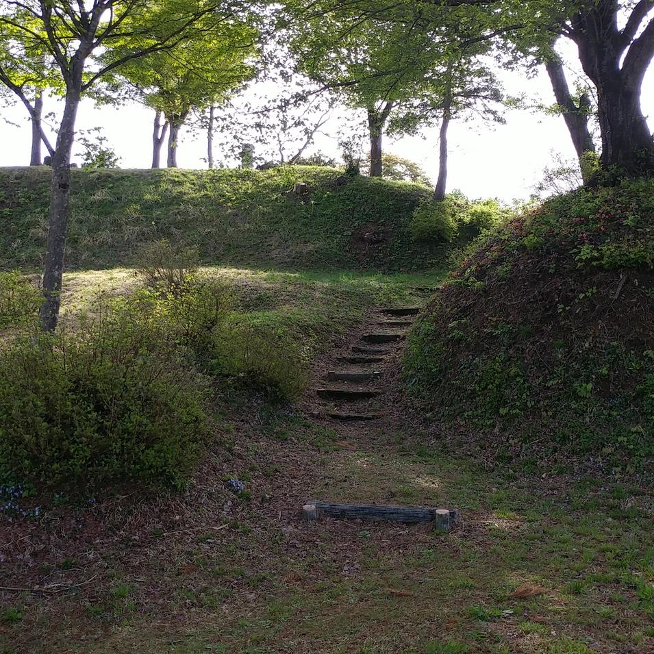 大井田城