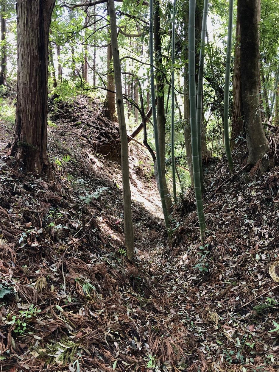 皆川城