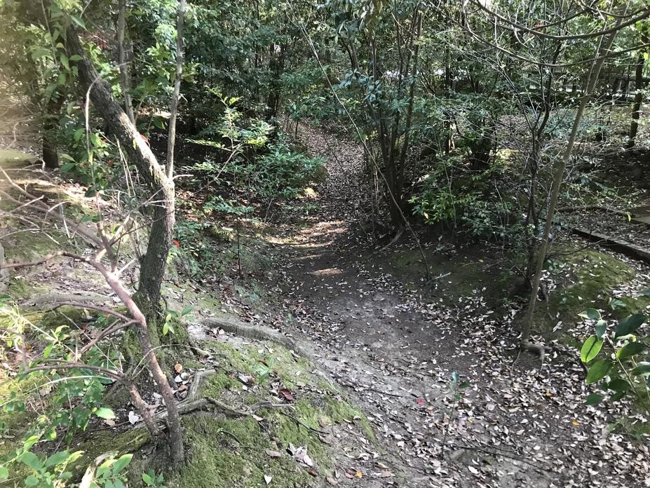 船岡山城