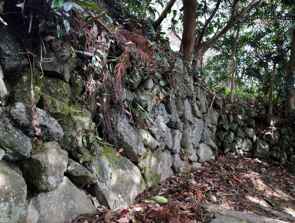 持船城