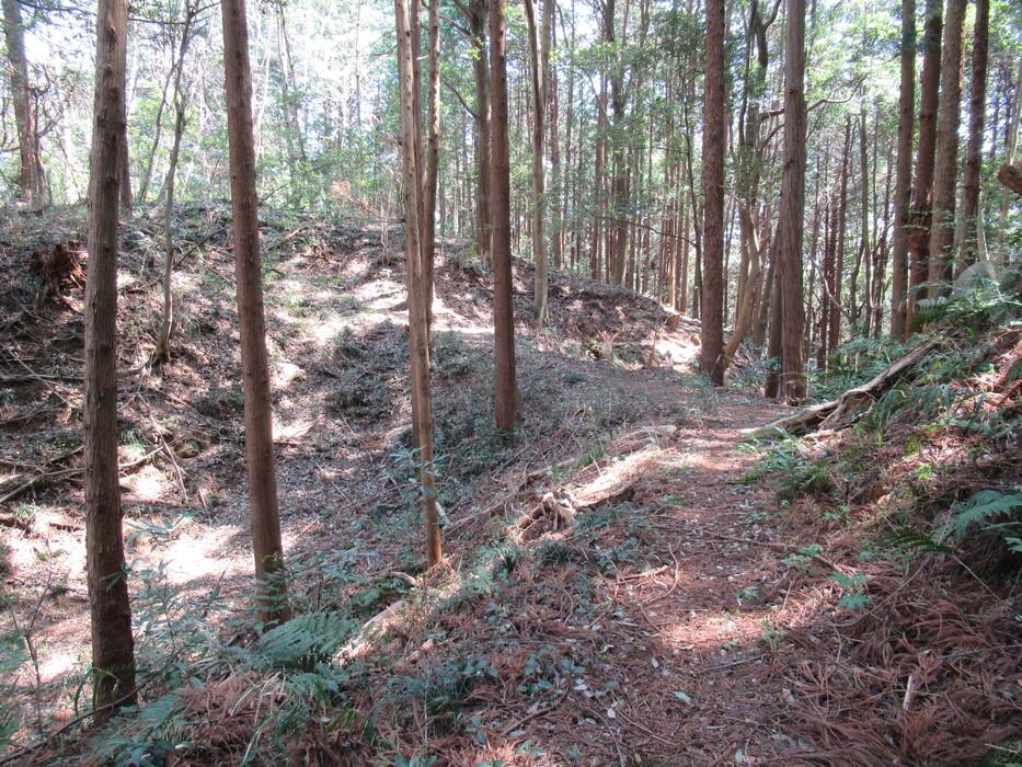 鷹留城