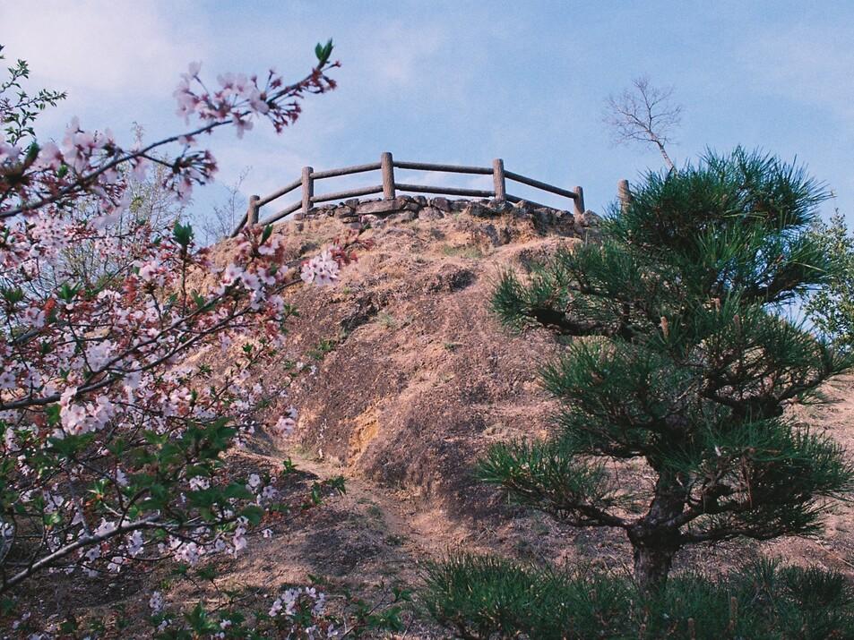 笠岡城