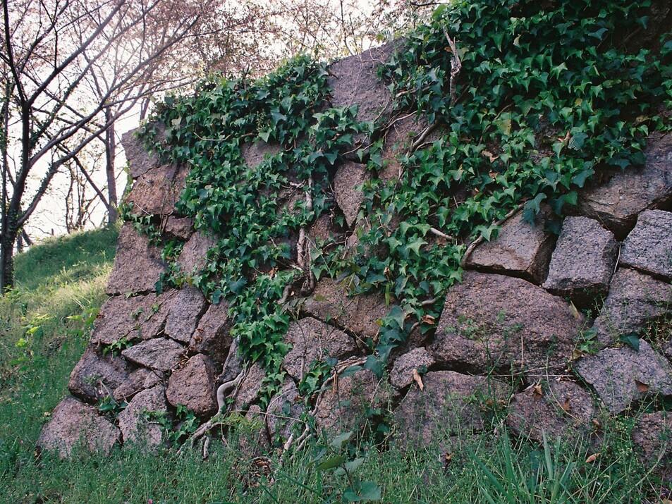 笠岡城