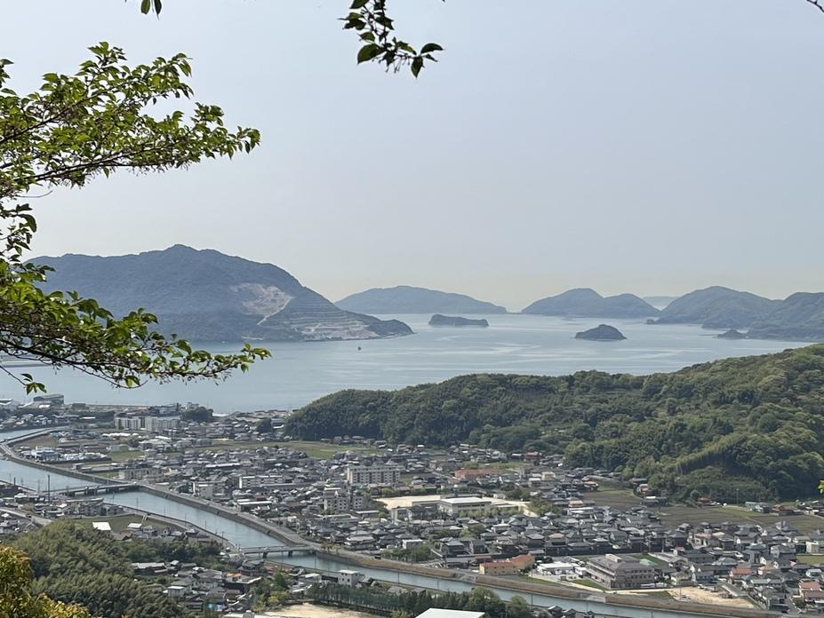 若山城