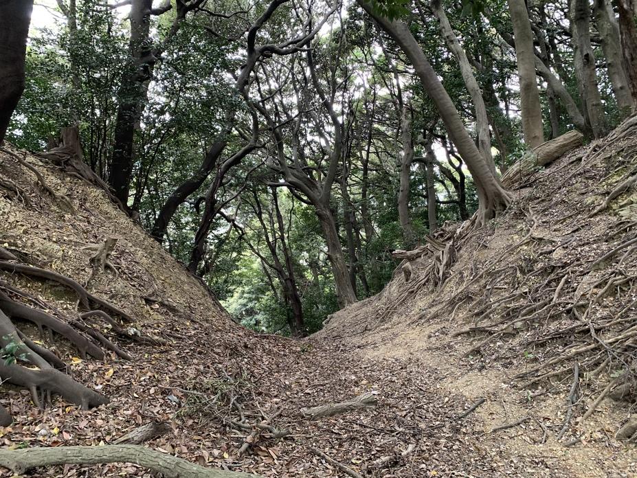 金ヶ崎城