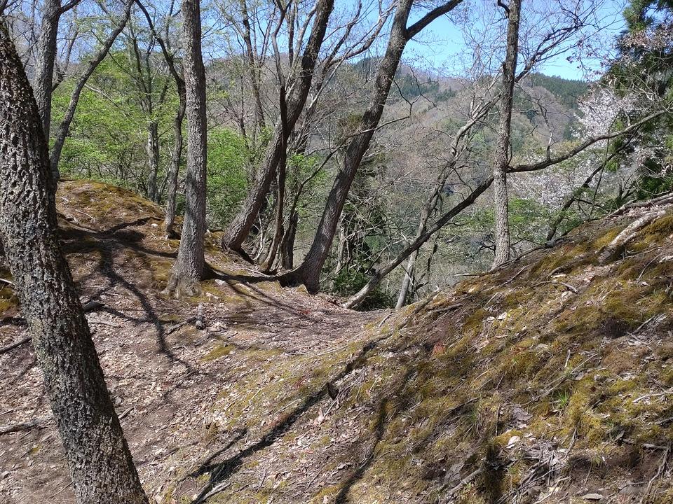 八木城