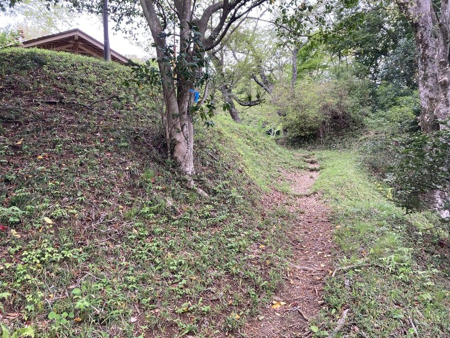 伊王野城