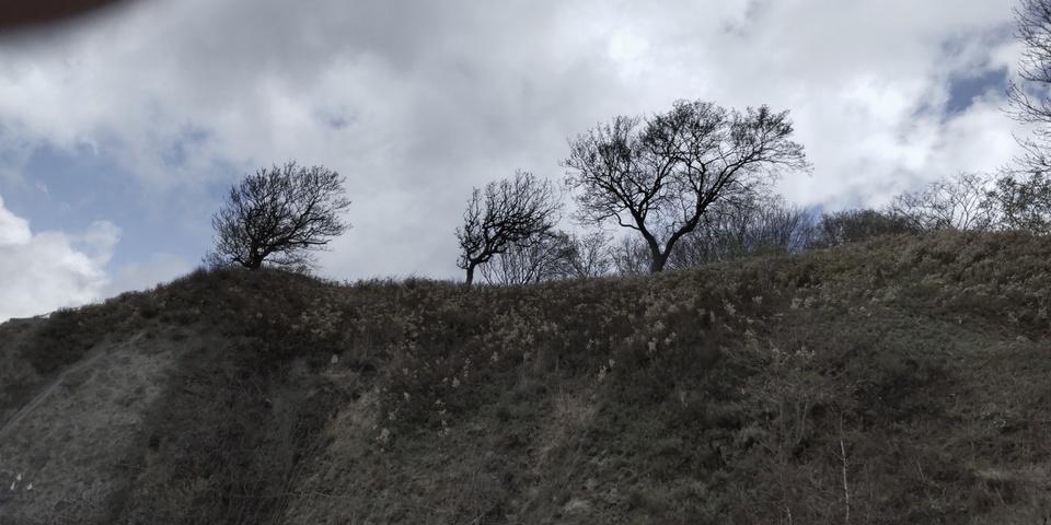 ポンモイチャシ