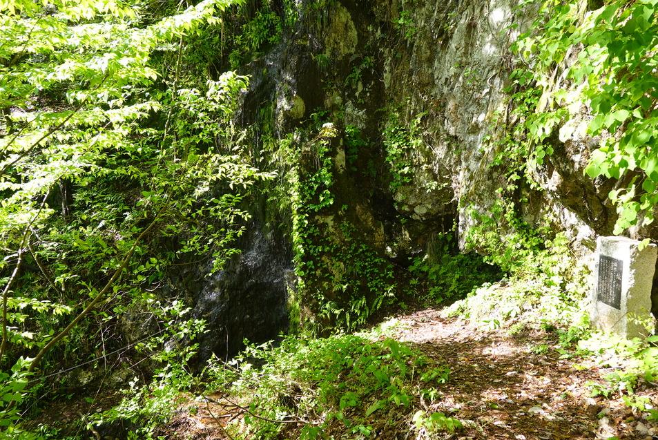 杣山城