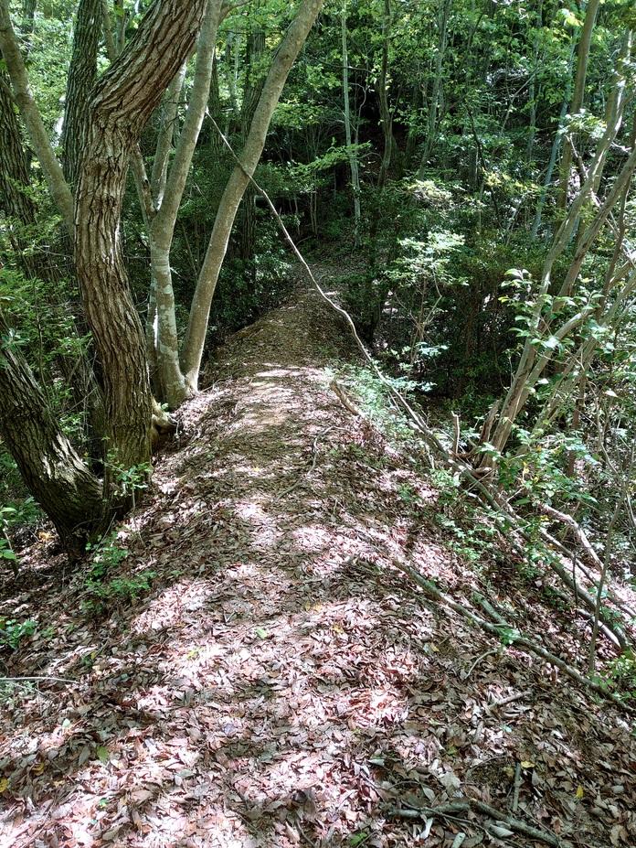 松嶽城