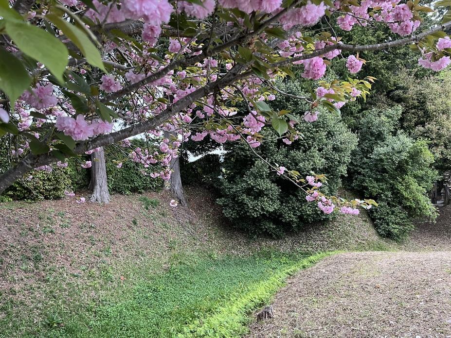 石原城