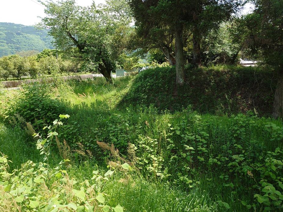 重清城