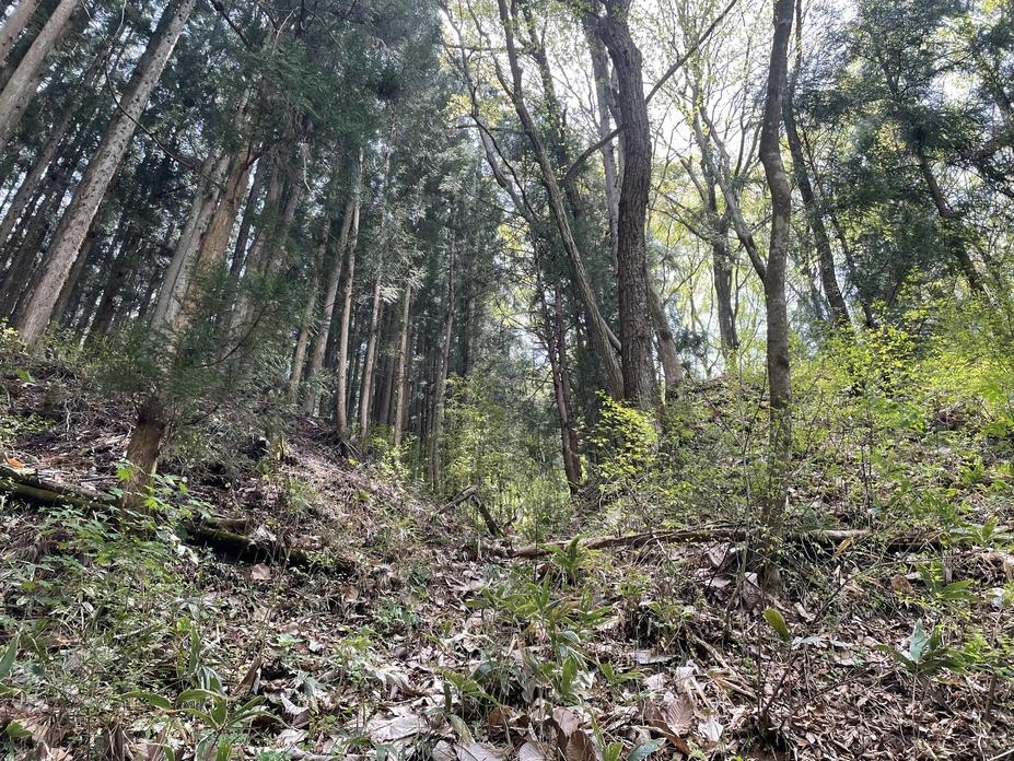 岩櫃城