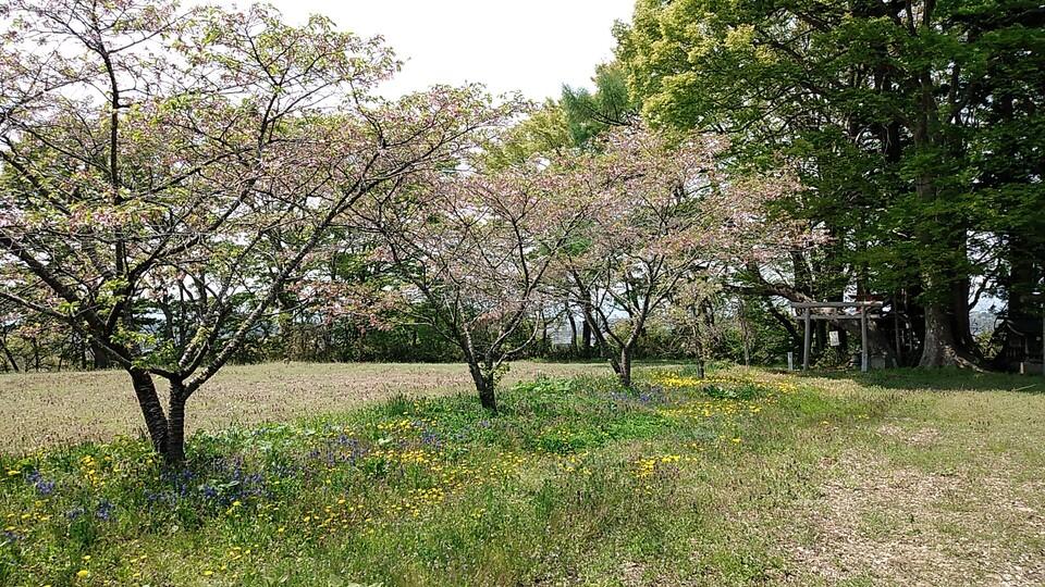 黒岩城