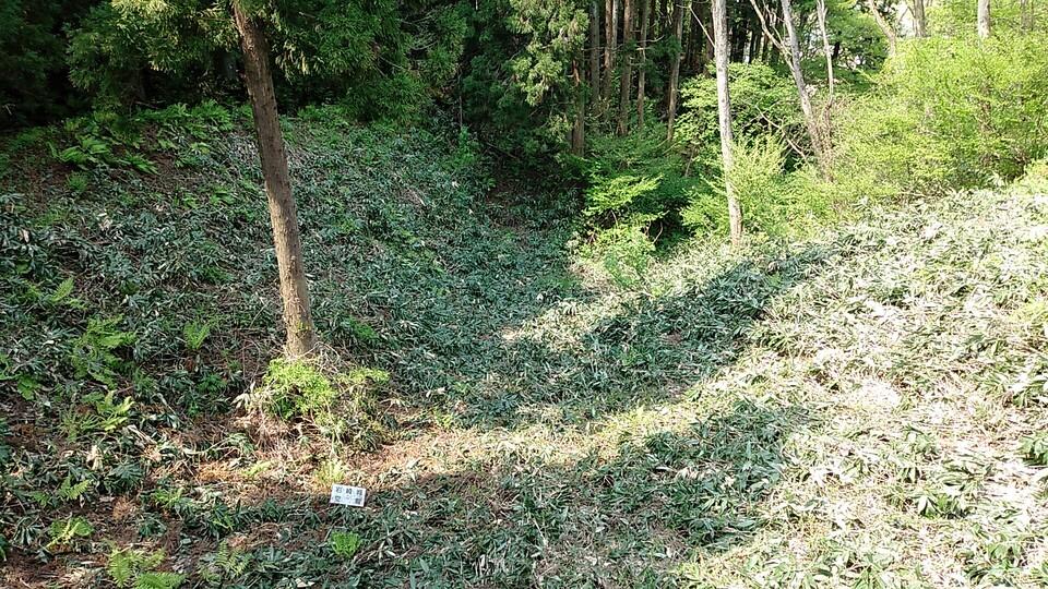 岩崎城
