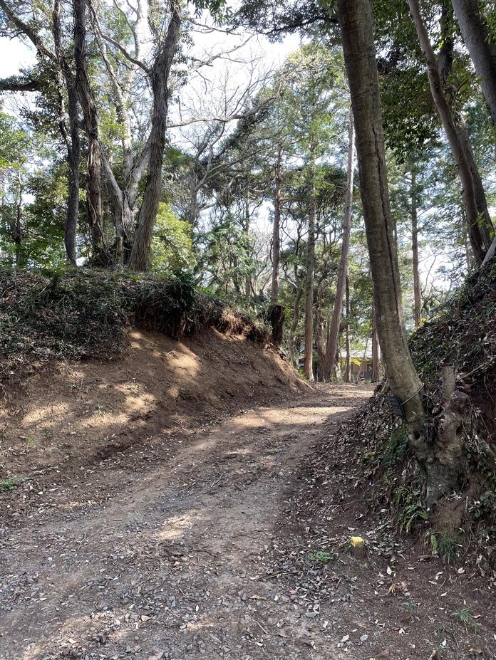 島崎城