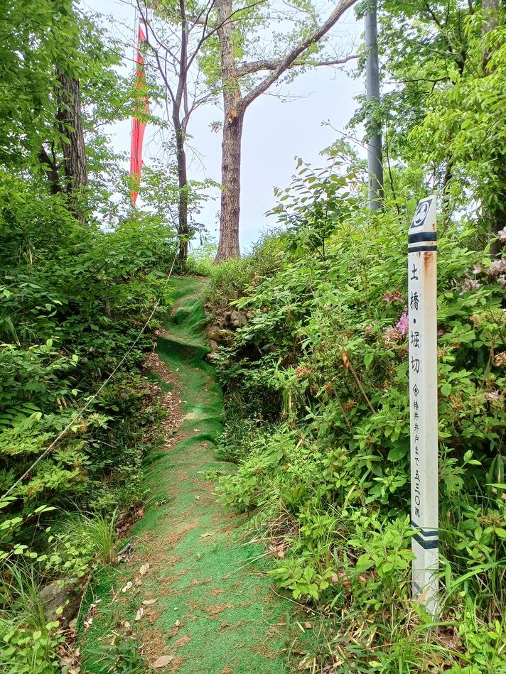 椿井城