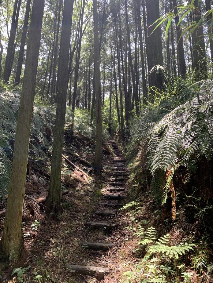 社山城
