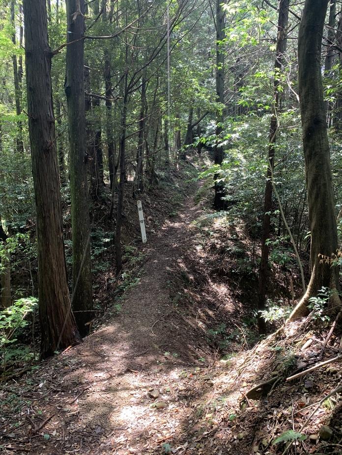 社山城