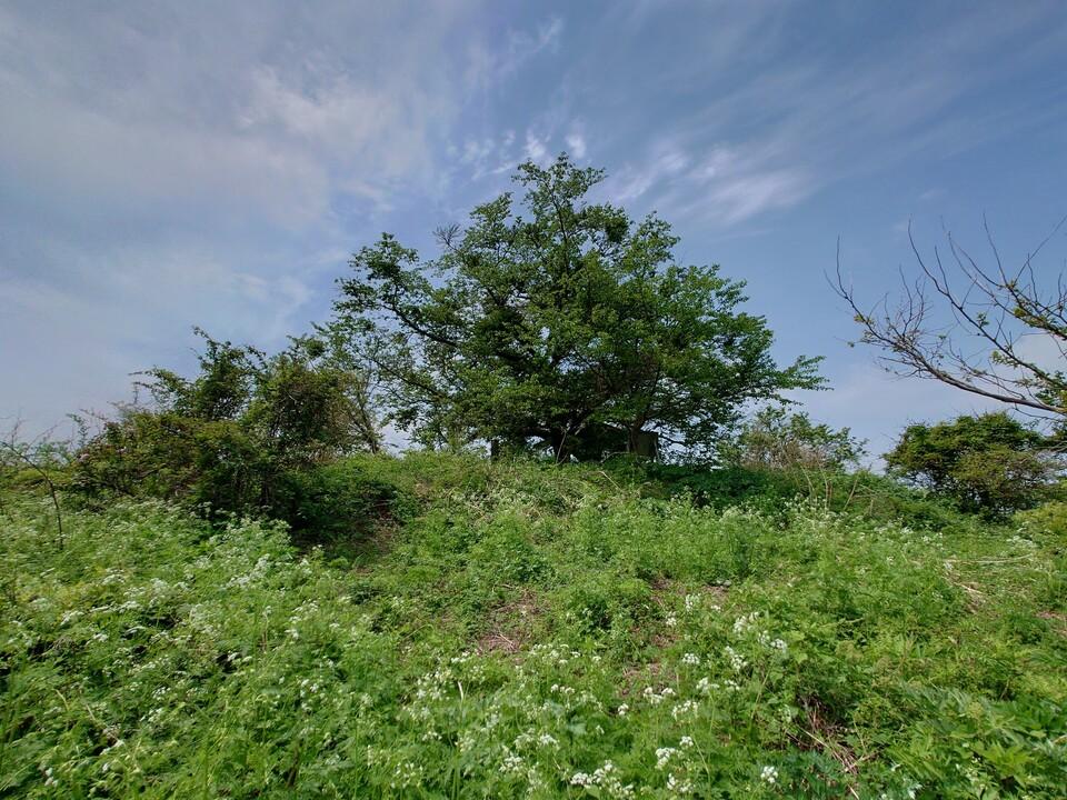 蝦夷館