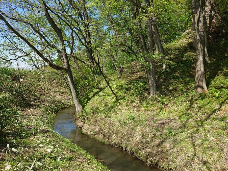 川口館