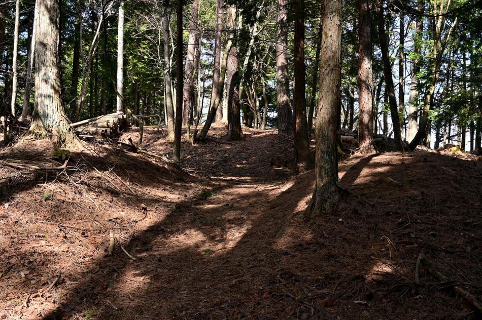 中野城