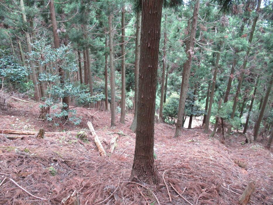 後瀬山城