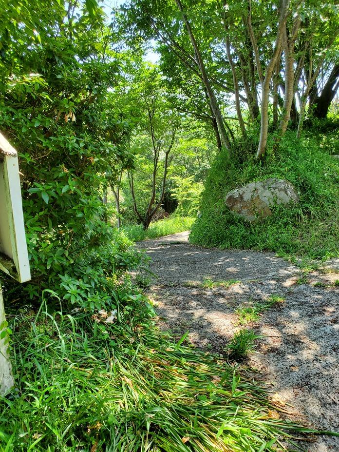 亀山城