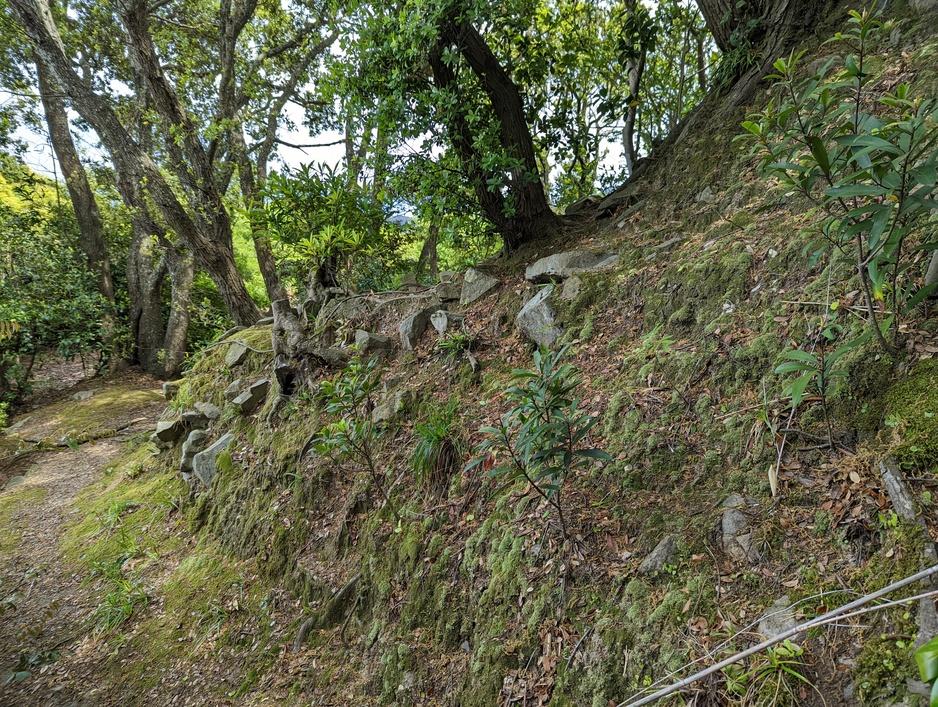城ケ森城